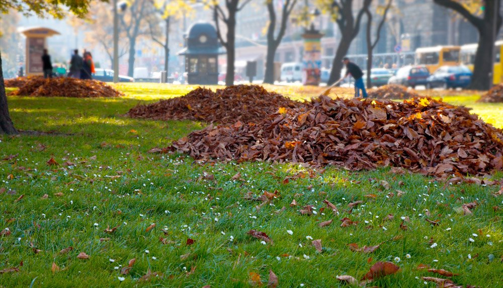 property maintenance Summerville SC